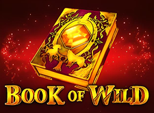 Игровой автомат Book of Wild – играть бесплатно и на деньги | BoostWin Казино